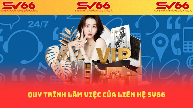 Quy trình làm việc của liên hệ sv66