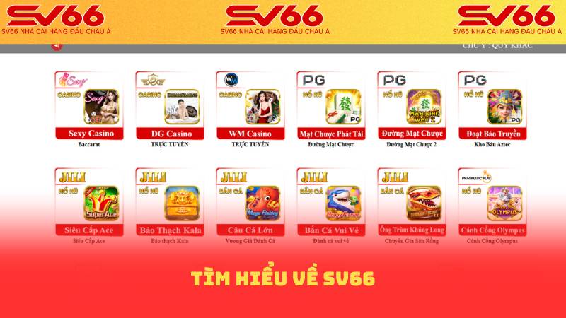 Tìm hiểu về sv66